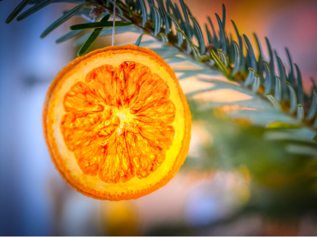 winter spices dried orange decoration