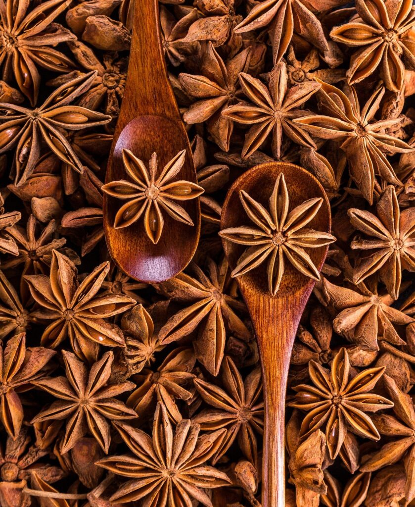 winter spices star anise